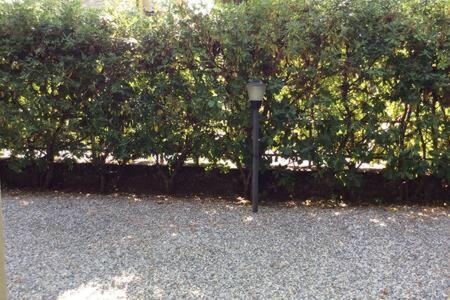 Residence Apuamare Pietrasanta Exteriér fotografie